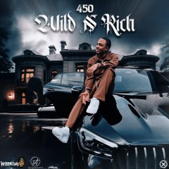450 - Wild And Rich [SaphFlip]