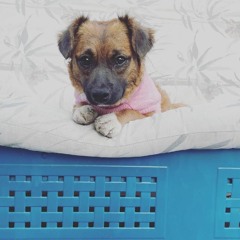 TJS - i like lights baby.m4a