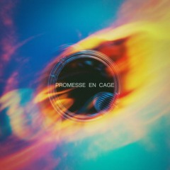 Promesse en cage