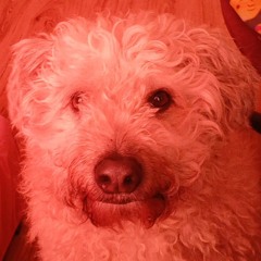 Atkal ft MX [Soundcloud Exclusive]