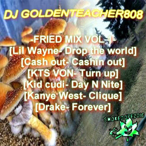 DJ GOLDENTEACHER808 ✿ FRIED MIX VOL 1 ✿
