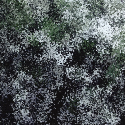 Deutzia in full white