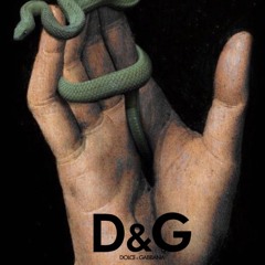 Le Serpentard