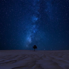 ‎⁨كيف السبيلُ إلى طيف يزاورهُ  - حمود بن بدر⁩