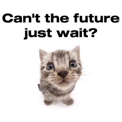 Can’t the future just wait [TikTok Mashup]