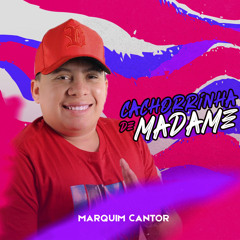 Cachorrinha de Madame