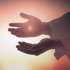 Matthew Plante - EVERY TRIAL