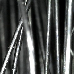 LOW FREQUENCY