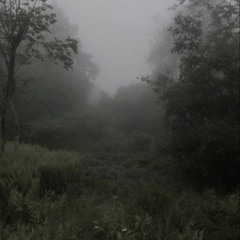 overcast (prod. everglades)