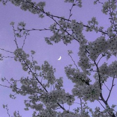 花降らし