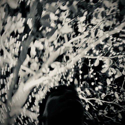 Sunset.exe - Pool Life