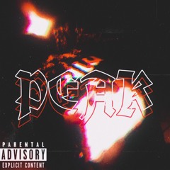 Turnt Pages Ft PEAK.9 🔥💯🔥✨️