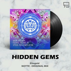 HIDDEN GEMS: Eliogold - Notte (Original Mix) [UNITING SOULS MUSIC]