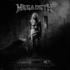 symphony of destruction (megadeth cover).mp3