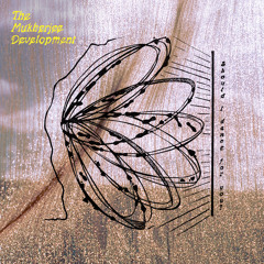 Not That I Could Change It Anyway