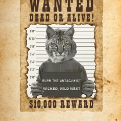 Wicked, Wild West