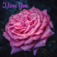 I Love You (Ft. Elation)