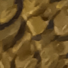 The earth is as flat as a pancake.