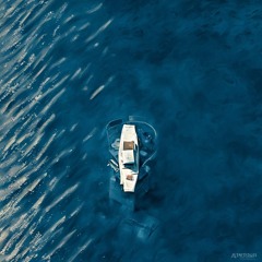 Organic Growth [Demo]