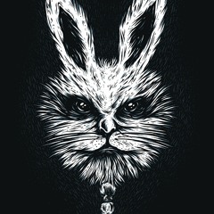 _ZiadAdel - 3amalt Albak  زياد عادل - عملت قلبك بيت