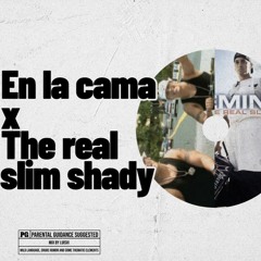 The Real Slim Shady X En La Cama MASHUP 104 BPM luisvi
