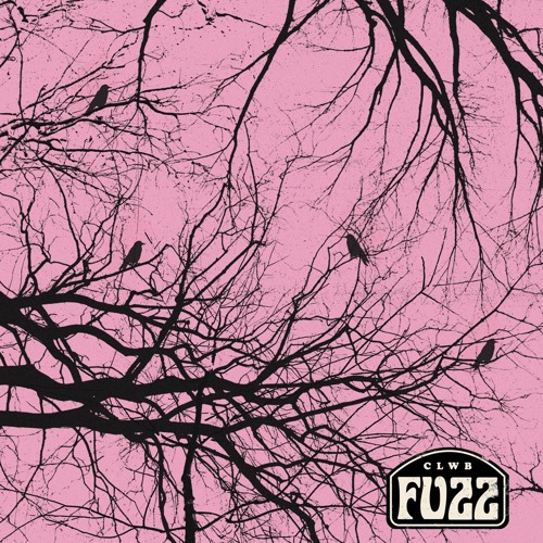 Clwb Fuzz - No Heaven