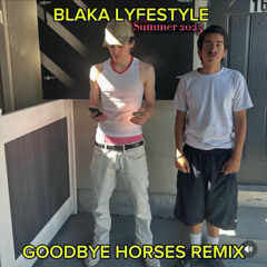 Goodbye Horses Remix - BLAKA LYFESTYLE
