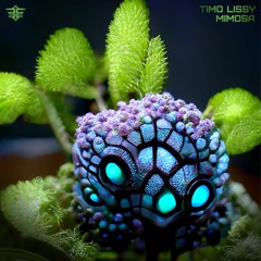Timo Lissy - Mimosa