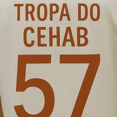 MC DICK - MEGA PROIBIDÃO CEHAB 2025 ( DA PUMA. FEAT TIAGO SUCESSO )