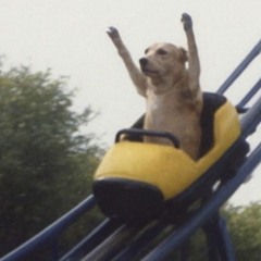 Nenorocitasss ♨️