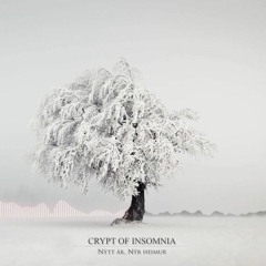 Nýtt ár, nýr heimur (pre-final)