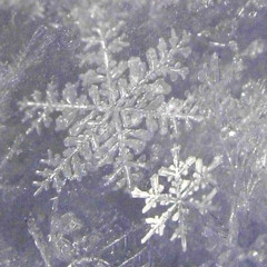 eyeblind - icy (prod. 454 & ethereal)