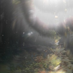 f020 - weary - without which the seeing would not