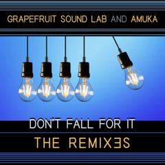 Don't Fall For It - the Remixes