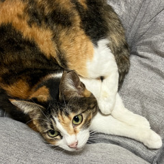 その手に掴めるはひとつだけ