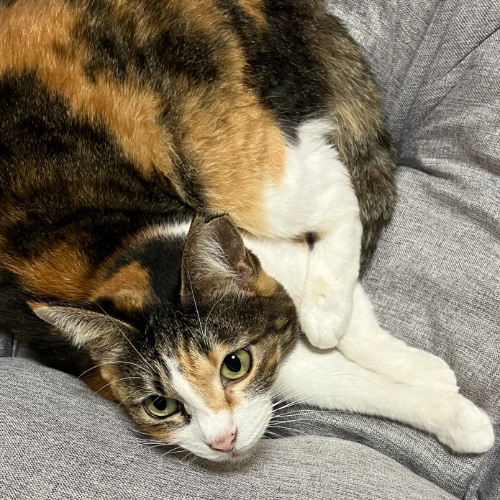 その手に掴めるはひとつだけ