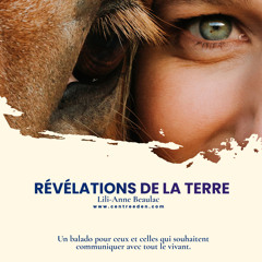 Quand l'amour perdure : Conversations avec nos animaux décédés
