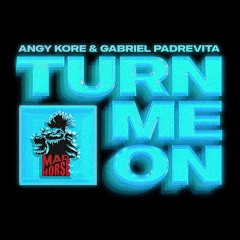 Angy Kore, Gabriel Padrevita - Turn Me On (Original Mix)