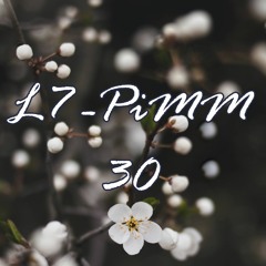 Pictures in My Mind 30