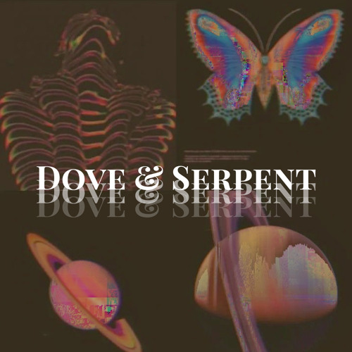Stream Dove Serpent Champagne Original Mix By Dove Serpent