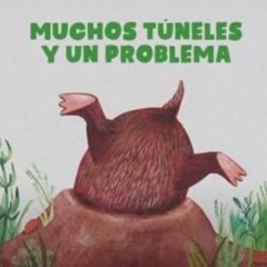 MUCHOS TÚNELES Y UN PROBLEMA