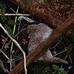 mycupisnthalfemptyorhalffullitscompletelygone