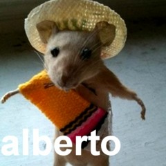 Alberto
