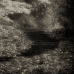 Artifact-014-Soul's Ambiguity