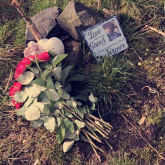 for my boy💙RIP😇