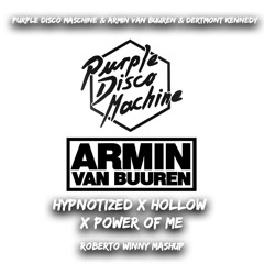 011 Purple Disco Machine & Armin V B - Hypnotized & Power Of Me & Hollow (Roberto Winny Mashup)