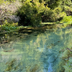 GOD IS AN ASTRONAUT - FRAGILE (Feat. Alan Watts)