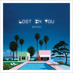 Lost In You