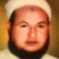 تفسير الشيخ ابراهيم عزت رؤية قرأنية فى سورة محمد 2