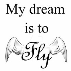 Dream is to fly Z4